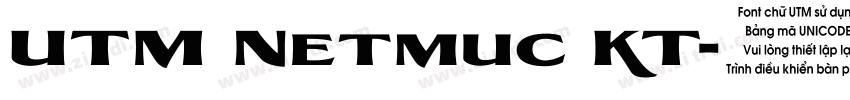 UTM Netmuc KT字体转换